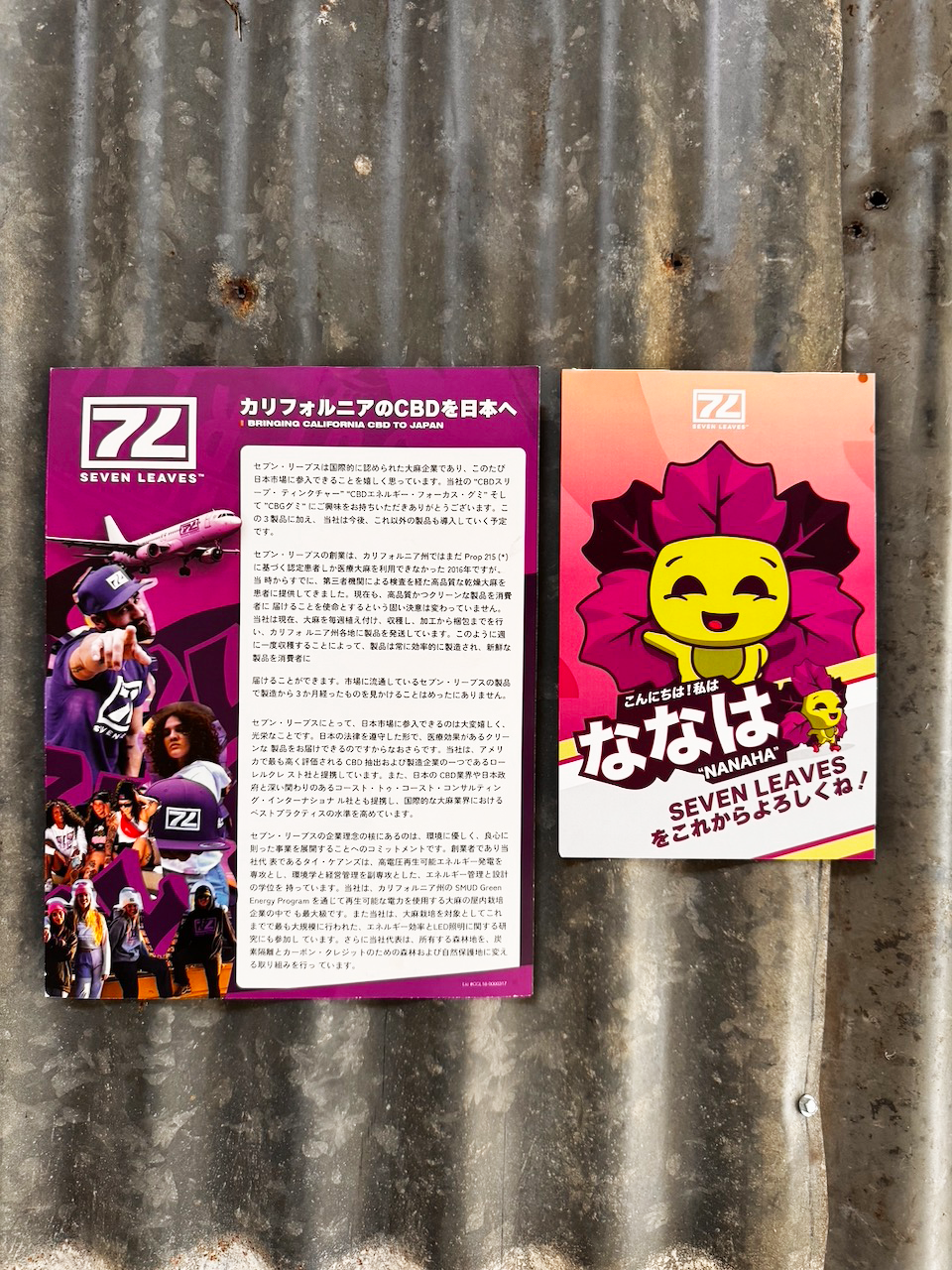 sales collateral in letter and postcard formats