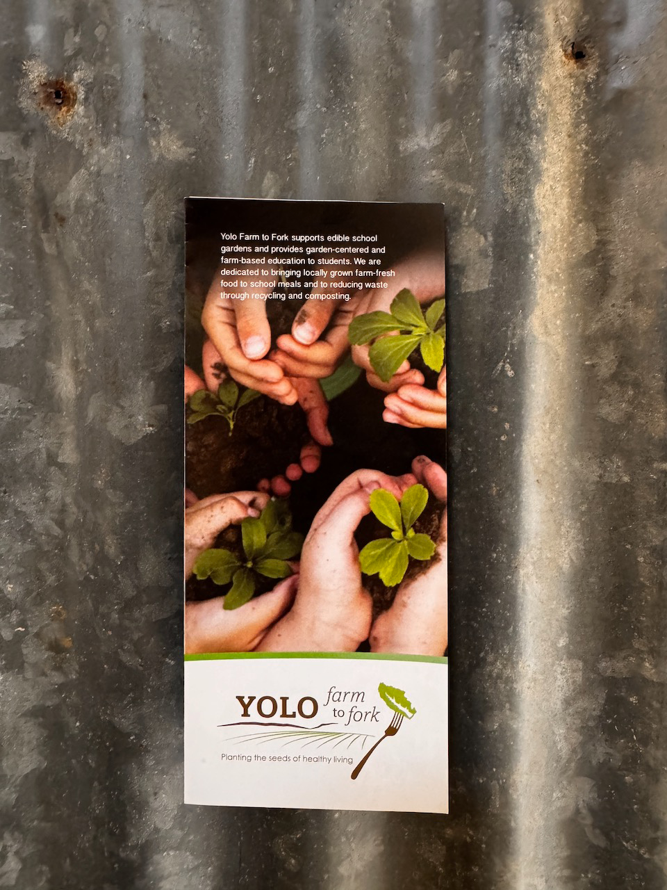 custom tri-fold print for non-profit