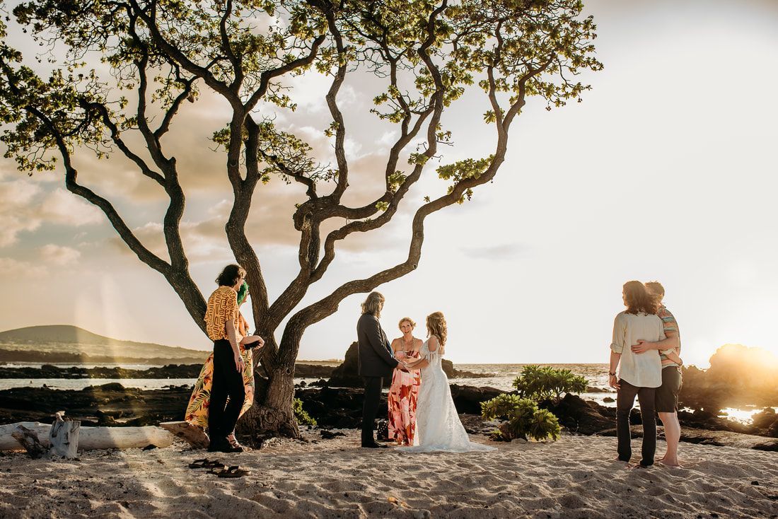 Wedding ceremony under a tree at sunset. Couple holding hands, officiant in black, guests watching. Beach setting.