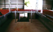 concrete shed in Australia
