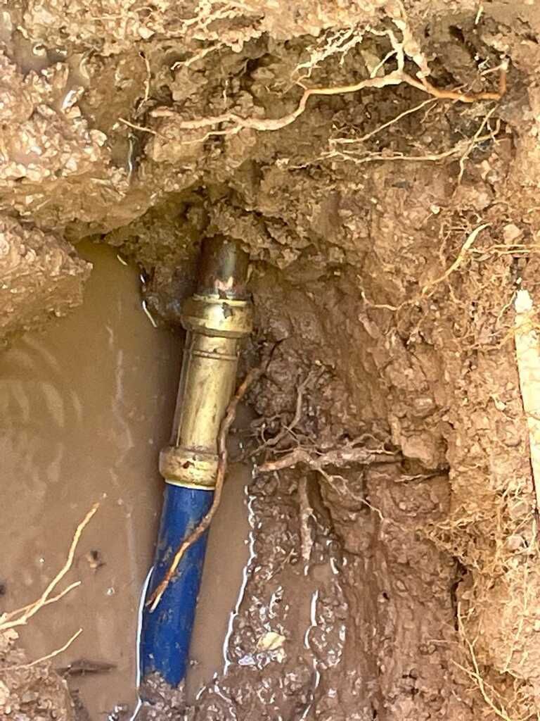 A blue pipe is sticking out of the ground in the mud.