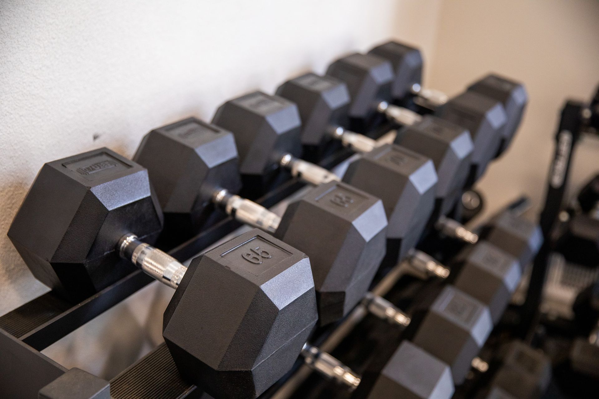 A row of dumbbells are lined up on a rack in a gym.