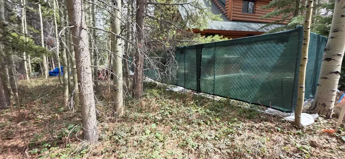 Wooded yard with tall trees and a green privacy fence beside a cabin
