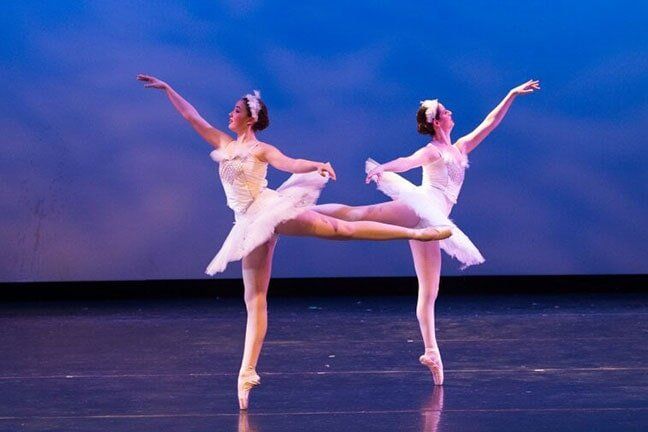 Swan Lake Big Swans- Ballet Academy in Schaumburg, IL