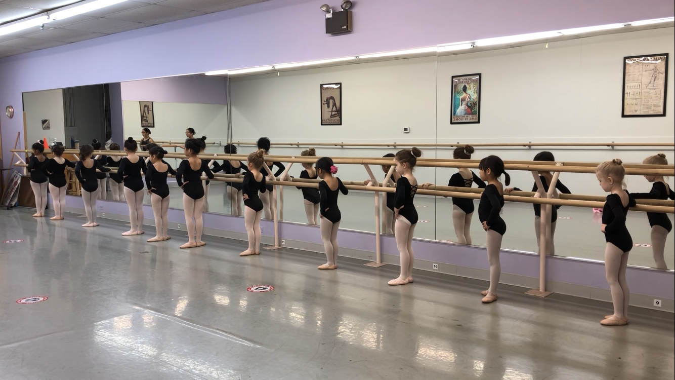 Children's Ballet - Ballet Academy in Schaumburg, IL