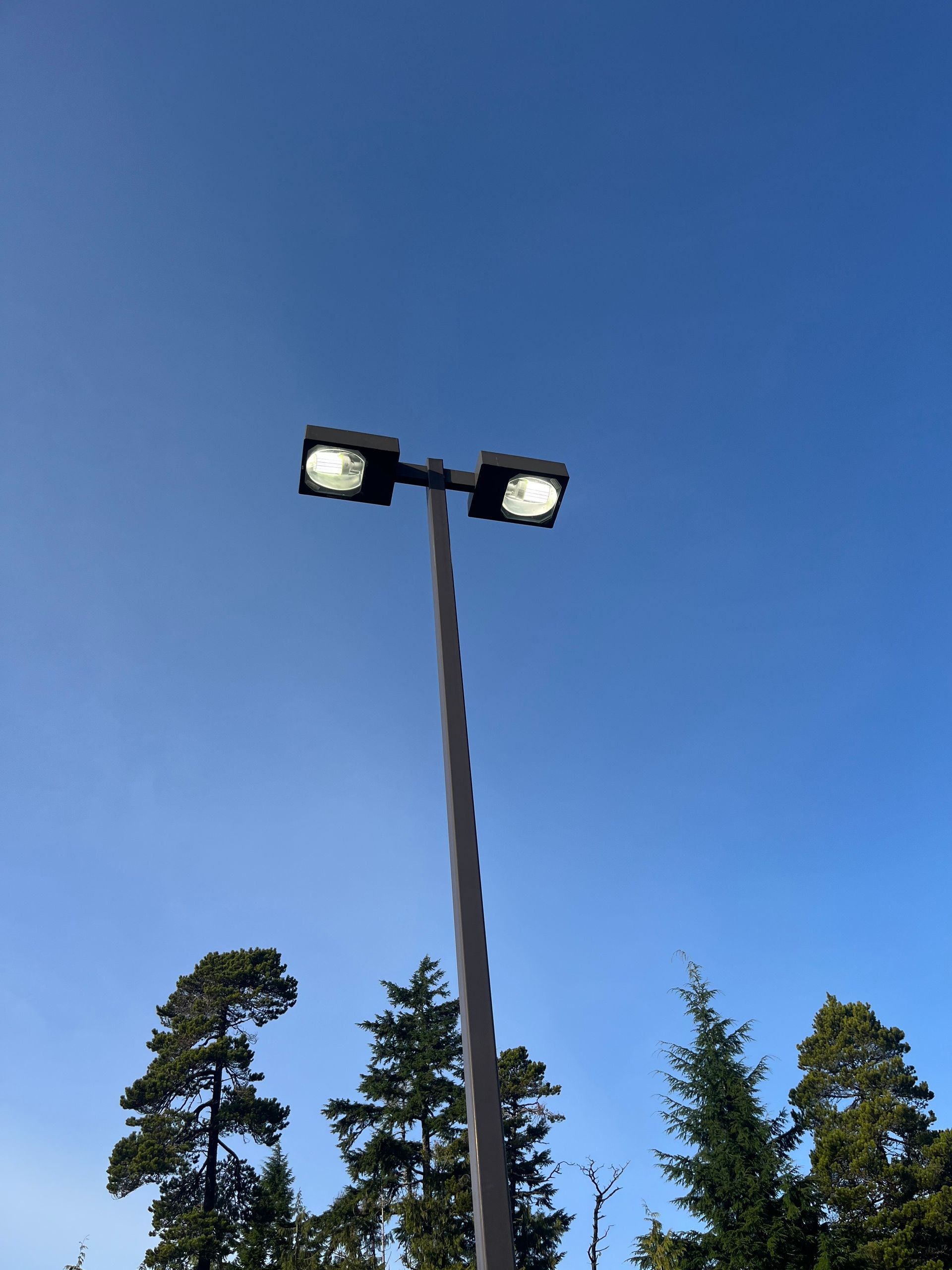 Gray ServPro electrical panel on a wood-paneled wall, with conduit cables.