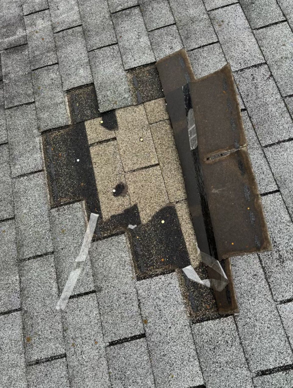 hamilton public adjusters