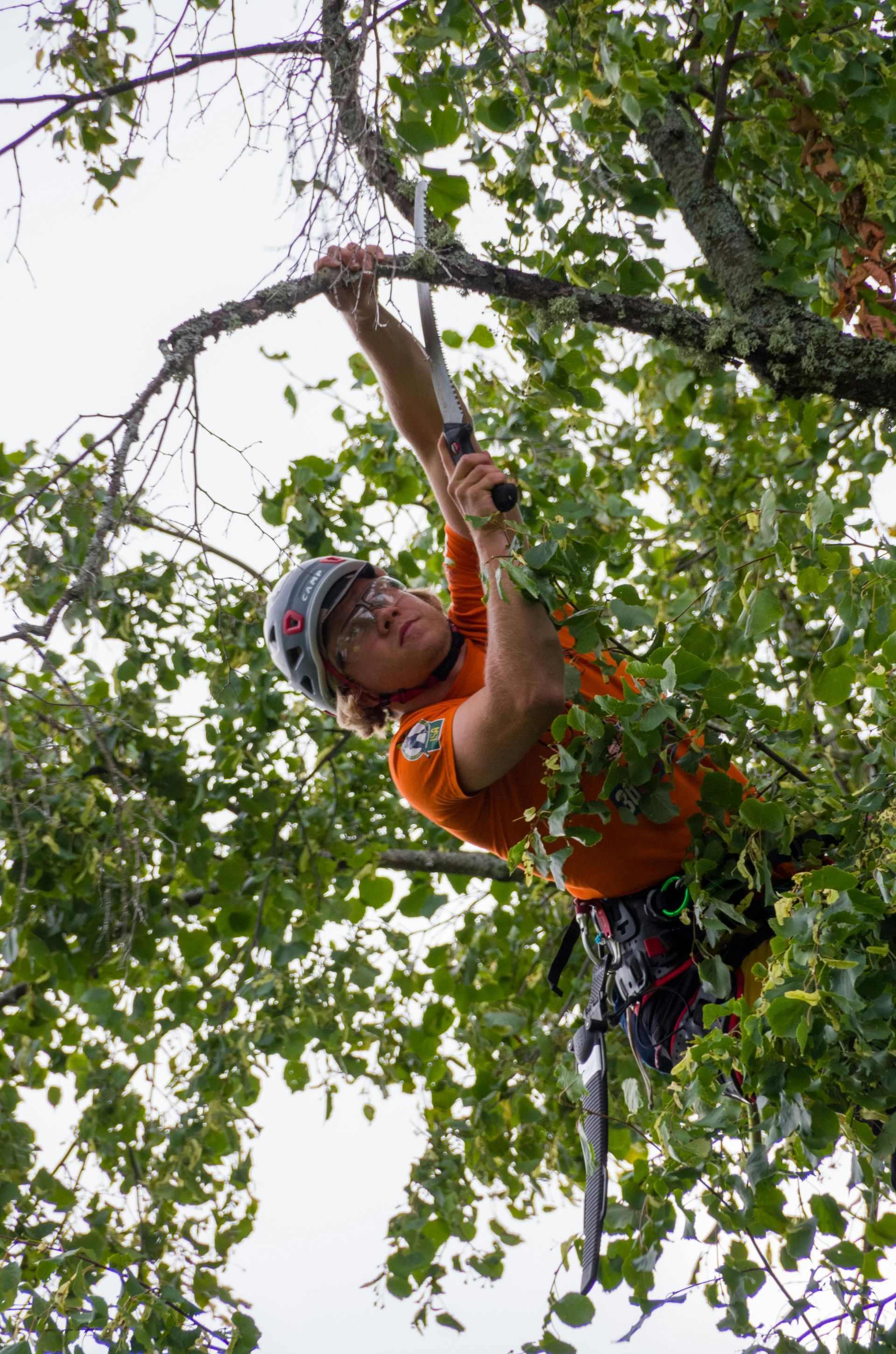 Man in orange shirt, helmet, and safety harness, pruning a tree branch with a saw.