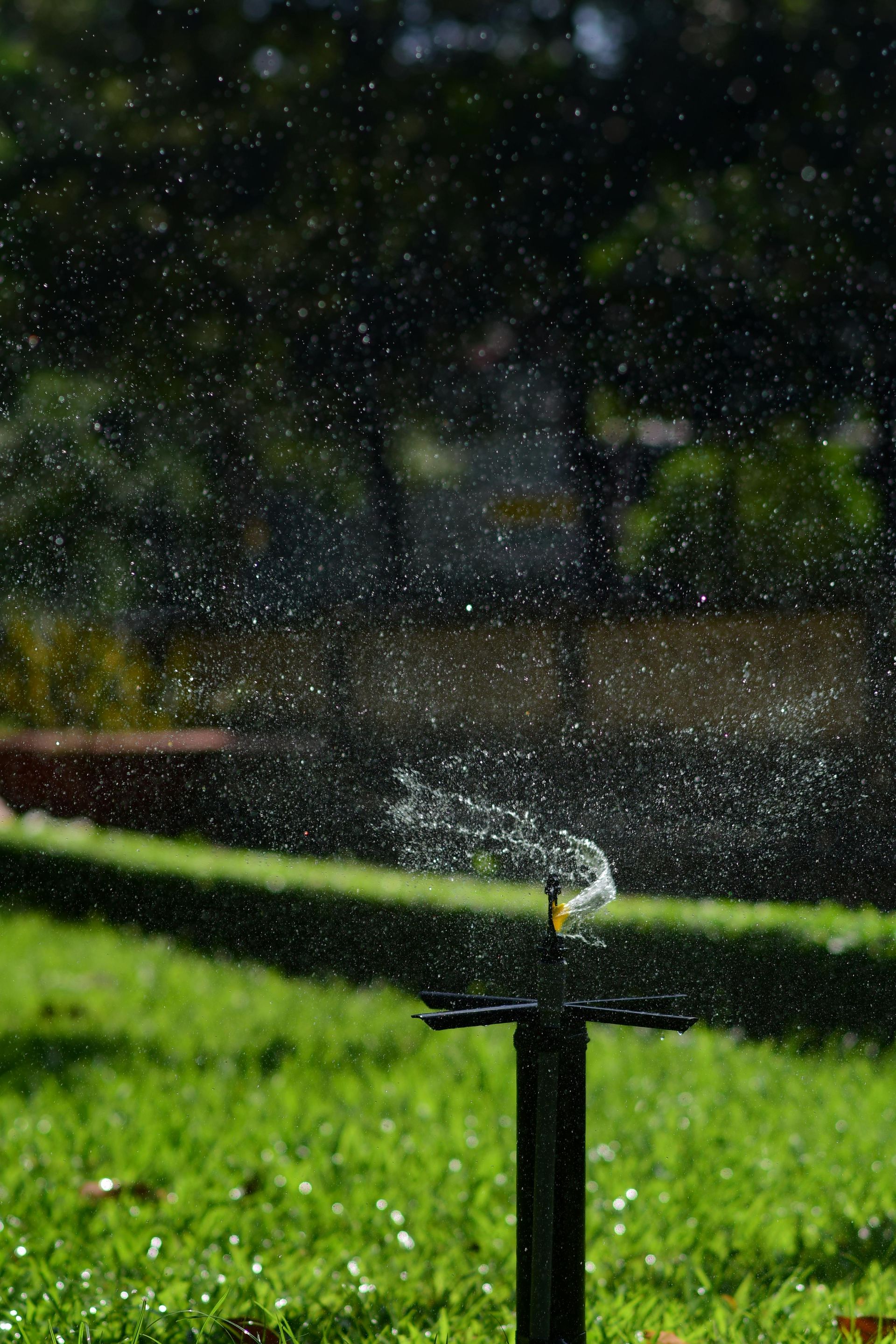 Sprinkler spraying water onto a green lawn, with blurred background of trees and plants.