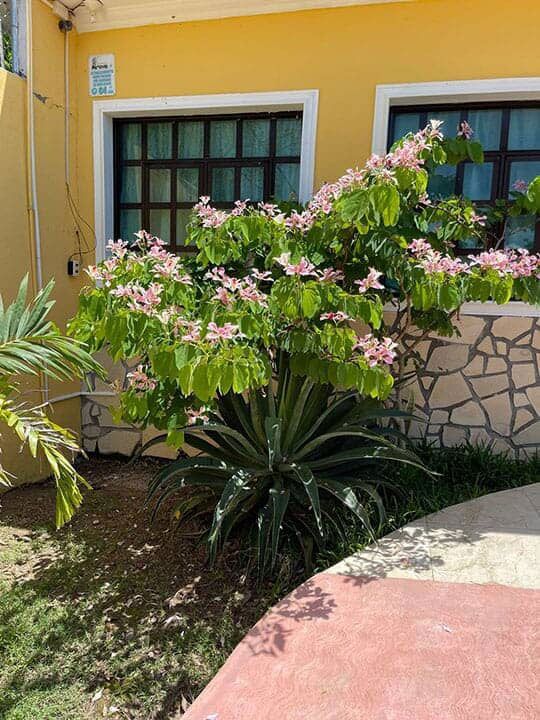 RESIDENCIA GERIÁTRICA MAVEL