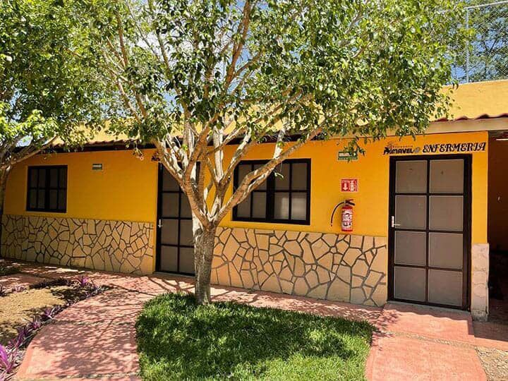 RESIDENCIA GERIÁTRICA MAVEL