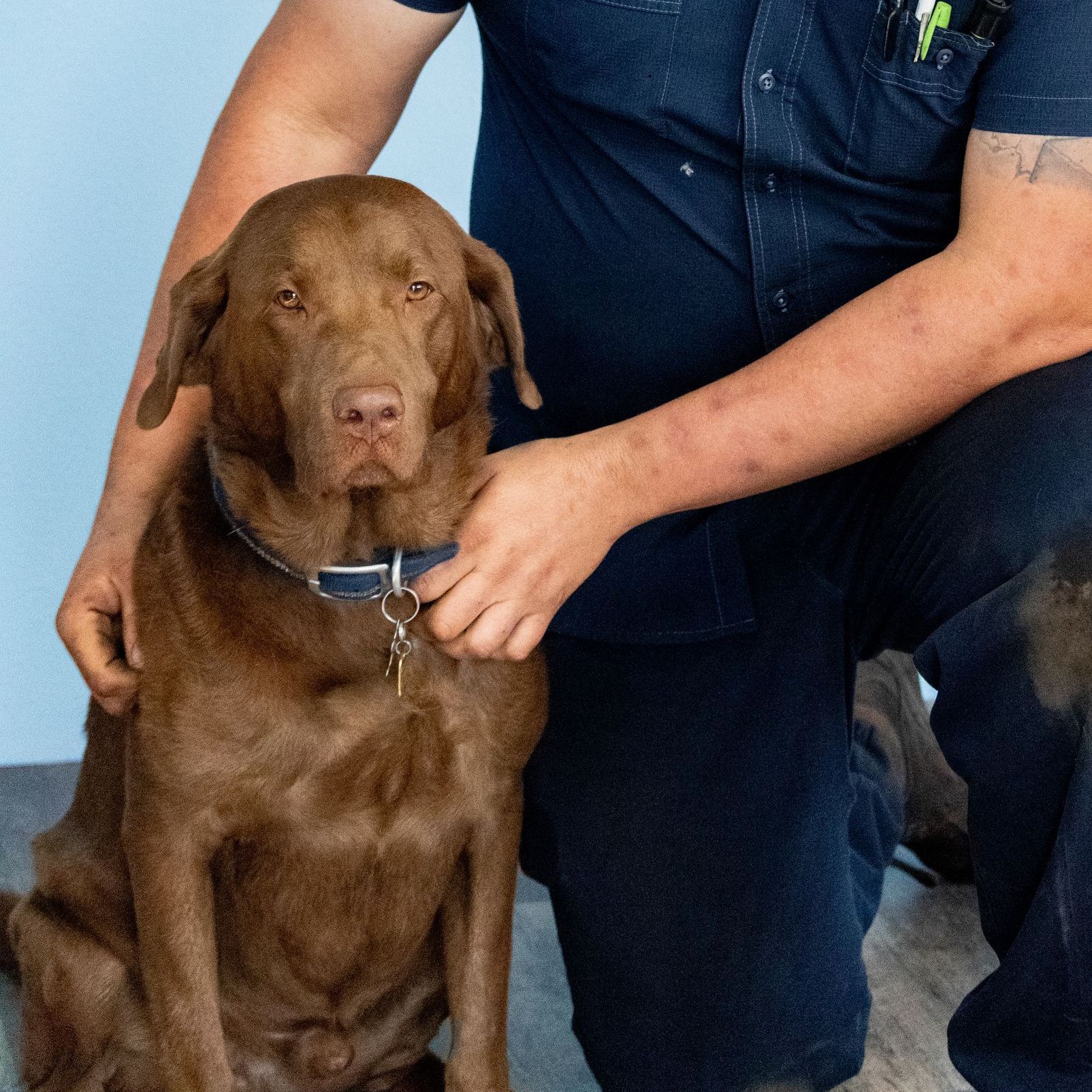 Meet out syaff at Hutson Automotive Repair Inc in Fruitland Park, FL