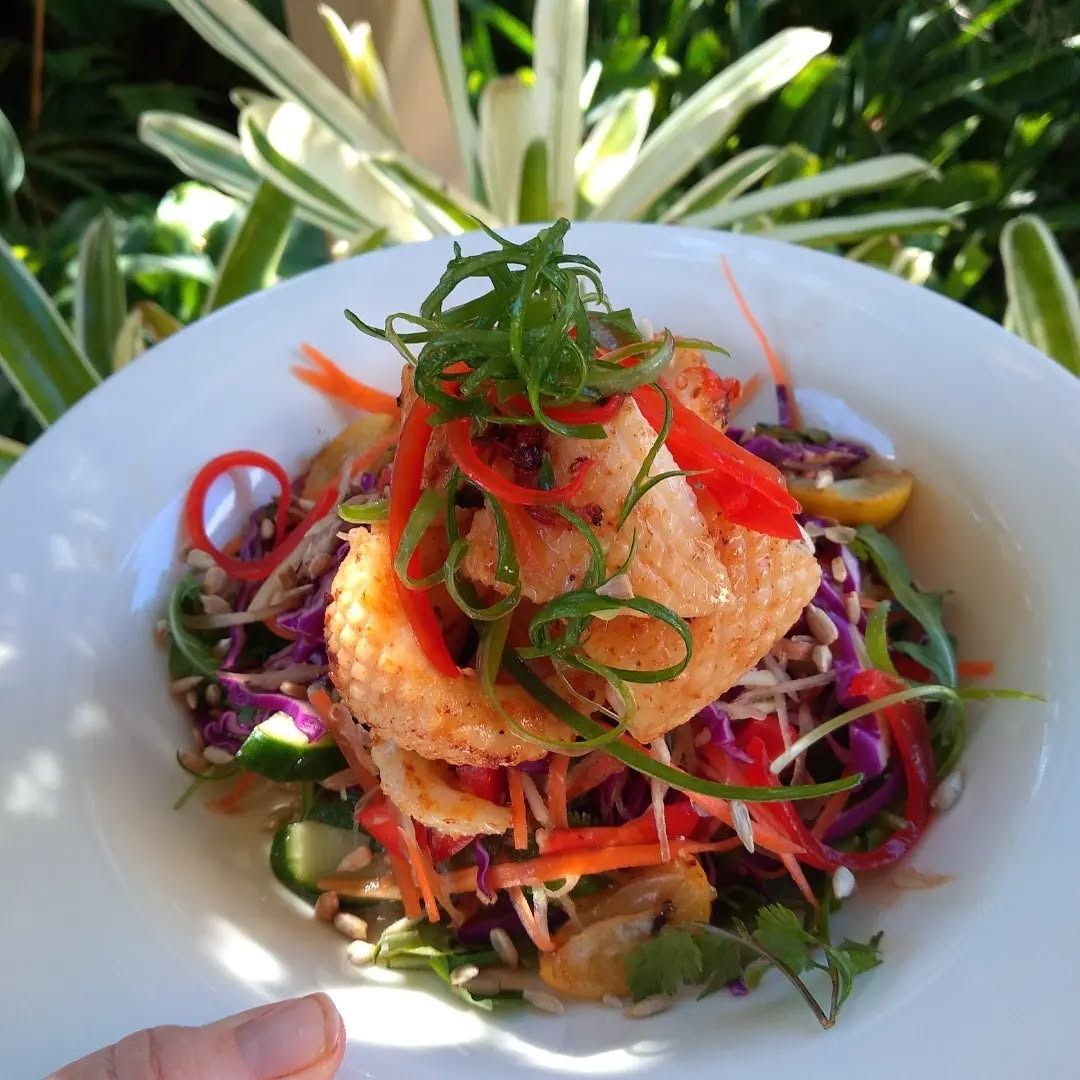 Colourful salad with fried topping, vegetables, and greens in a white bowl outdoors — Vines at 139 in Grafton, NSW