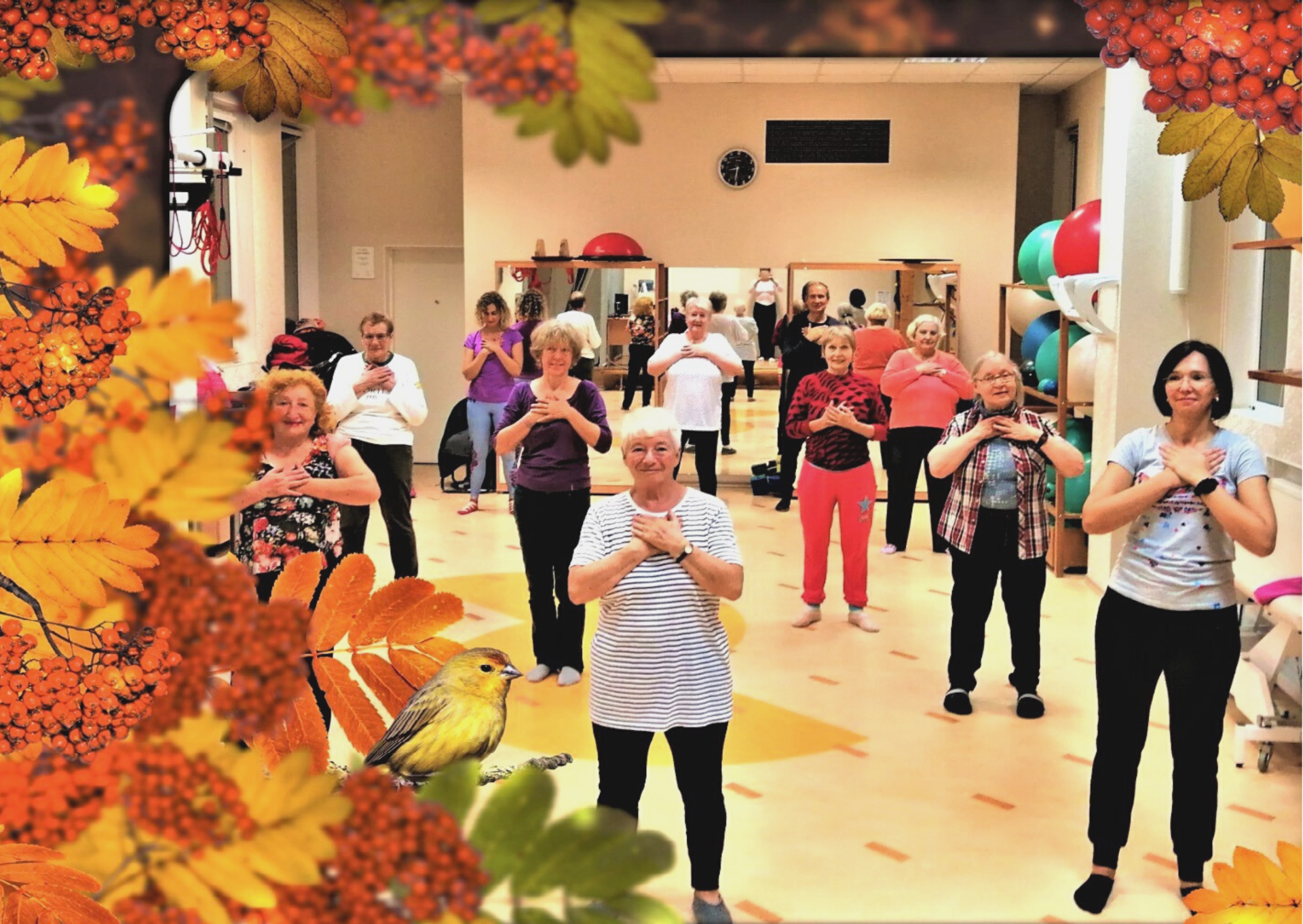 Ciguns VCA Poliklīnikā ELITE, Ciguns, Cigun, Cigun nodarbībasб Cigun, Taidzi, Qigong, Tai Chi, Taichi, Цигун, Тайцзи