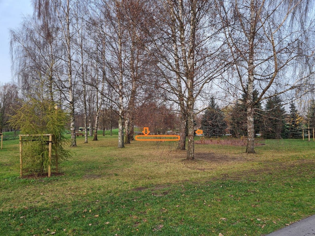 ciguns, cigun, taidzi, vingro, Āgenskalns