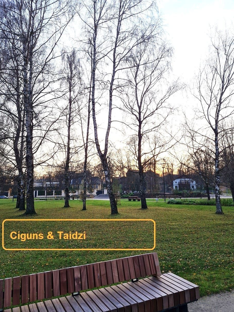 ciguns, cigun, taidzi, vingro, Āgenskalns