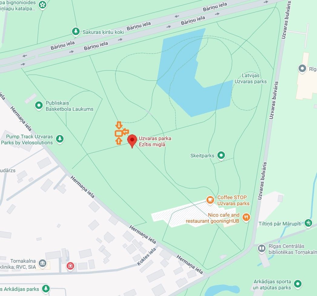 ciguns, cigun, taidzi, vingro, Āgenskalns