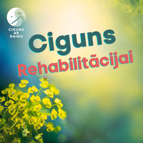 Ciguns, Cigun nodarbības, Ciguns online, Ciguns, Cigun, Cigun nodarbības, Ciguns online, vingro tiešsaistē, ciguns ar Daigu, Daiga Šļahota, Daiga Slahota, vingrošanas nodarbības, muguras veselība, locītavas, labsajūta, harmonija, rehabilitācija, ciguns rehabilitācijai