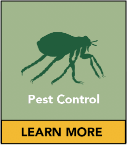 Pest Control