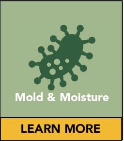 Mold & Moisture