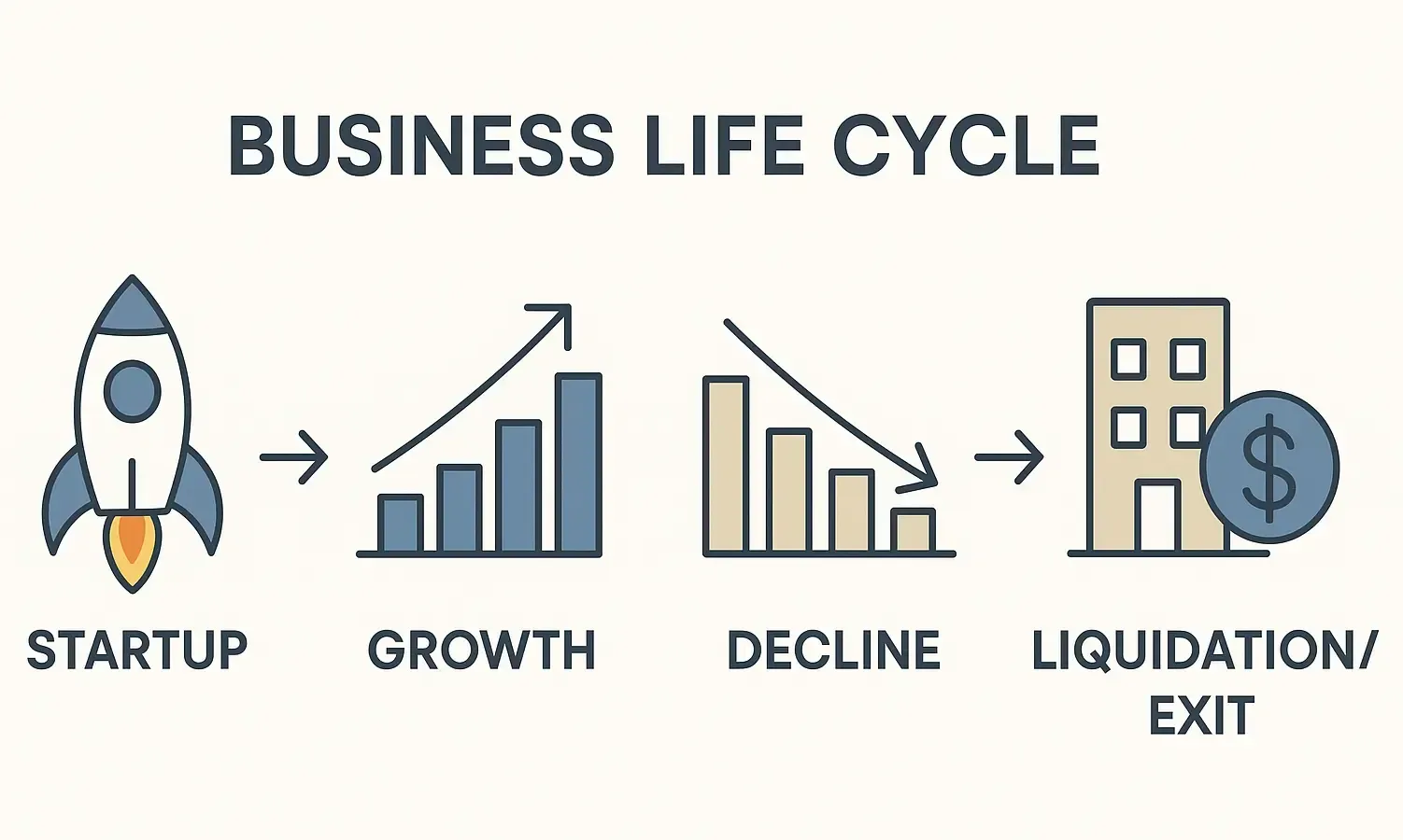 Illustration of the business life cycle stages: startup, growth, decline, and liquidation/exit.
