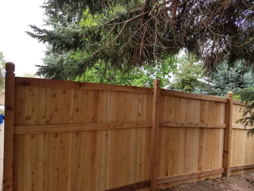 A wooden fence with a tree in the background.