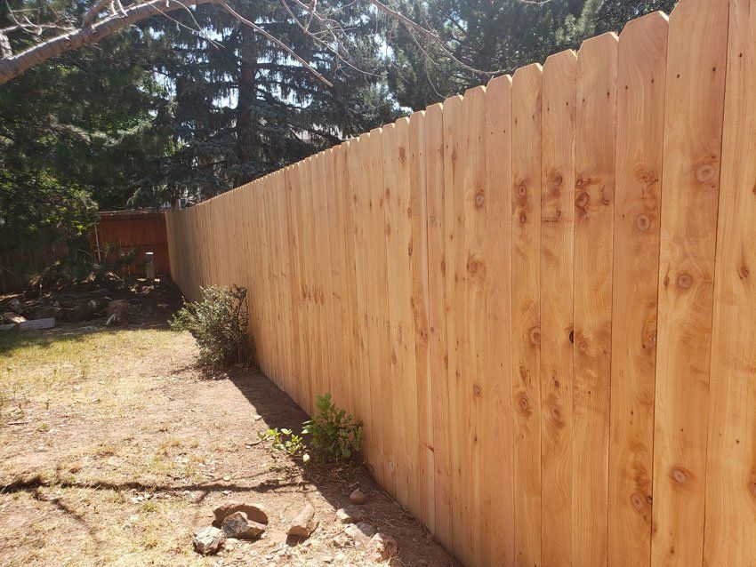 A wooden fence surrounds a backyard with trees in the background.
