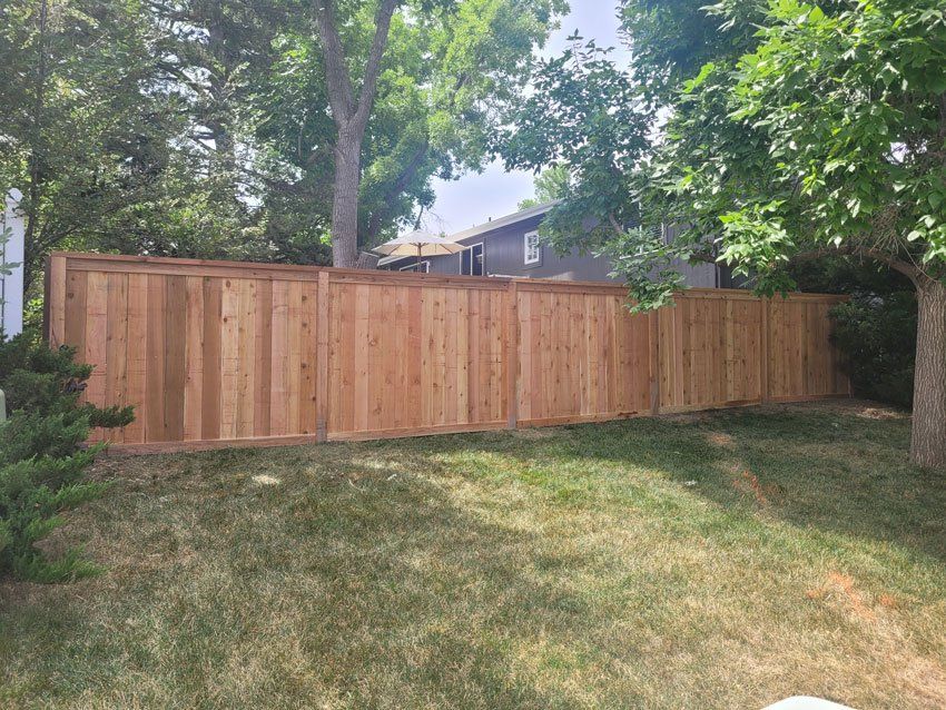 A wooden fence is surrounded by trees in a backyard.