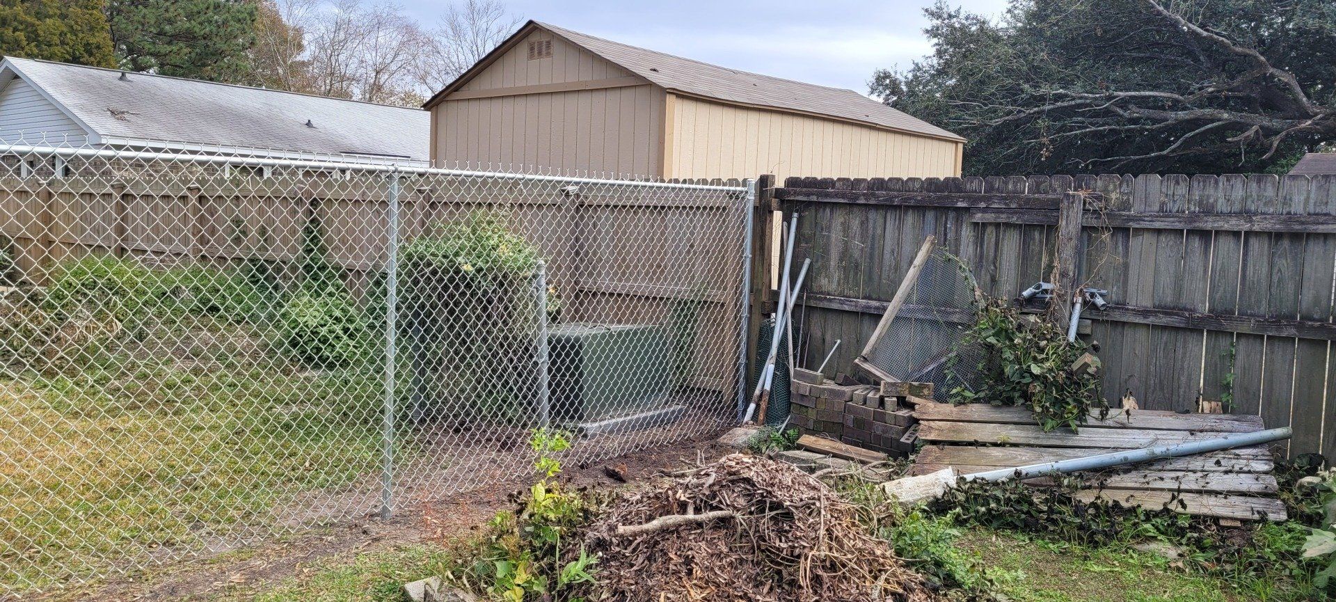 A backyard with a chain link fence and a shed behind it.