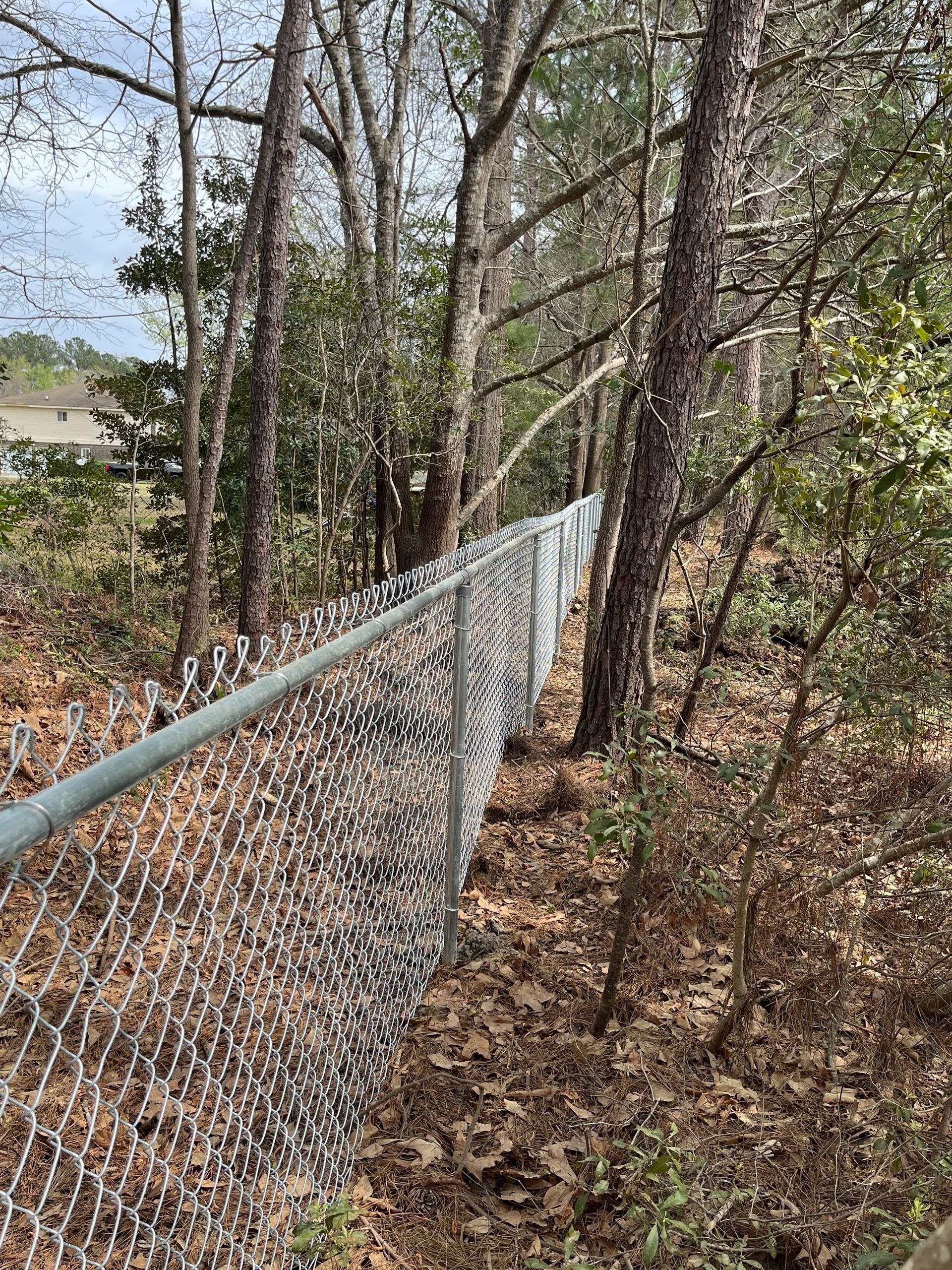 A chain link fence is surrounded by trees in a forest.