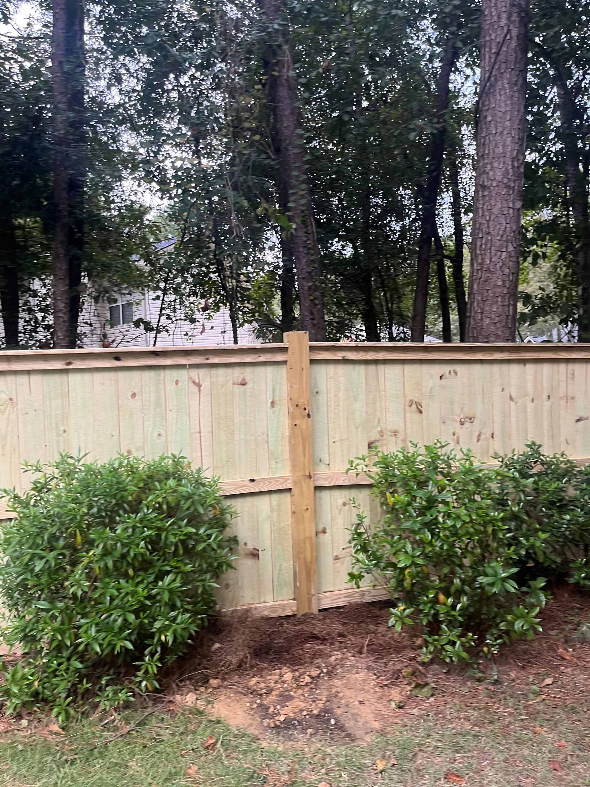 A wooden fence is surrounded by bushes and trees in a backyard.