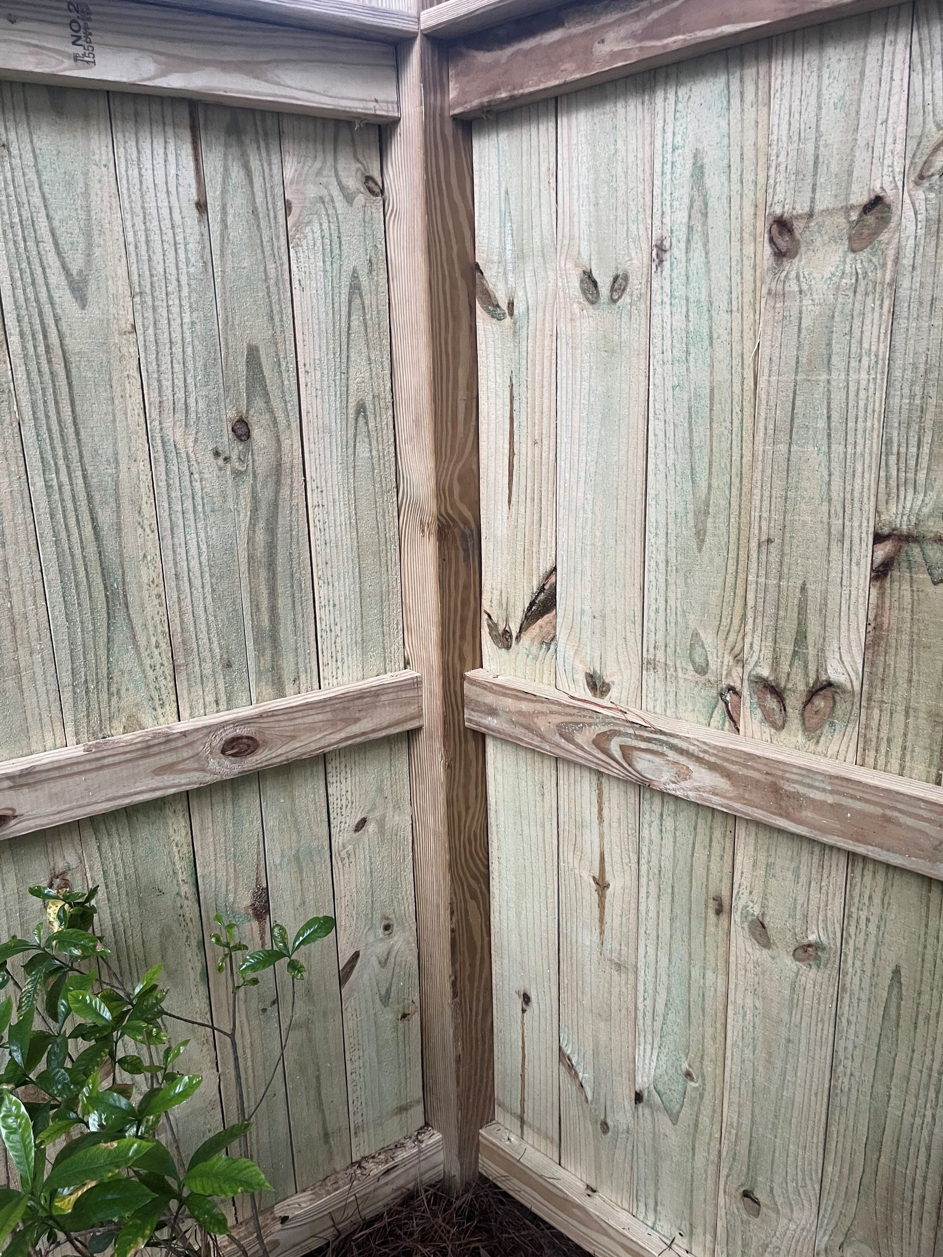 A close up of a wooden fence with a tree in the background.