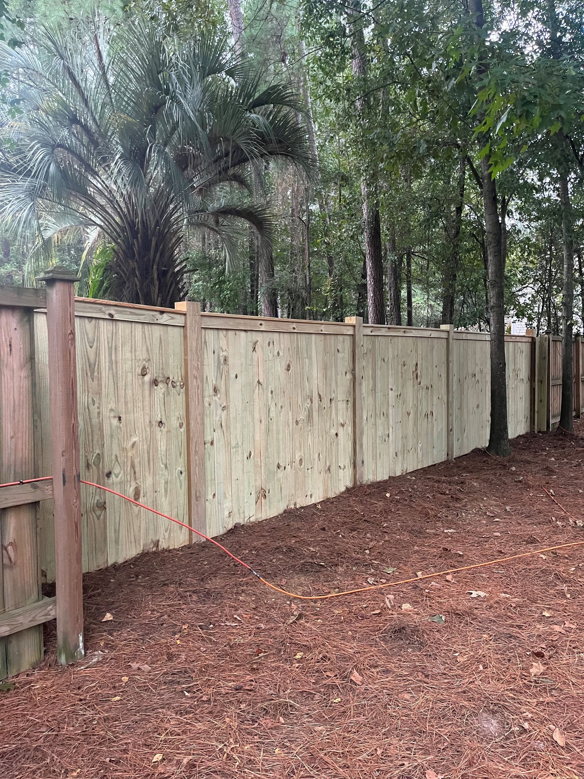 A wooden fence is surrounded by trees in a backyard.