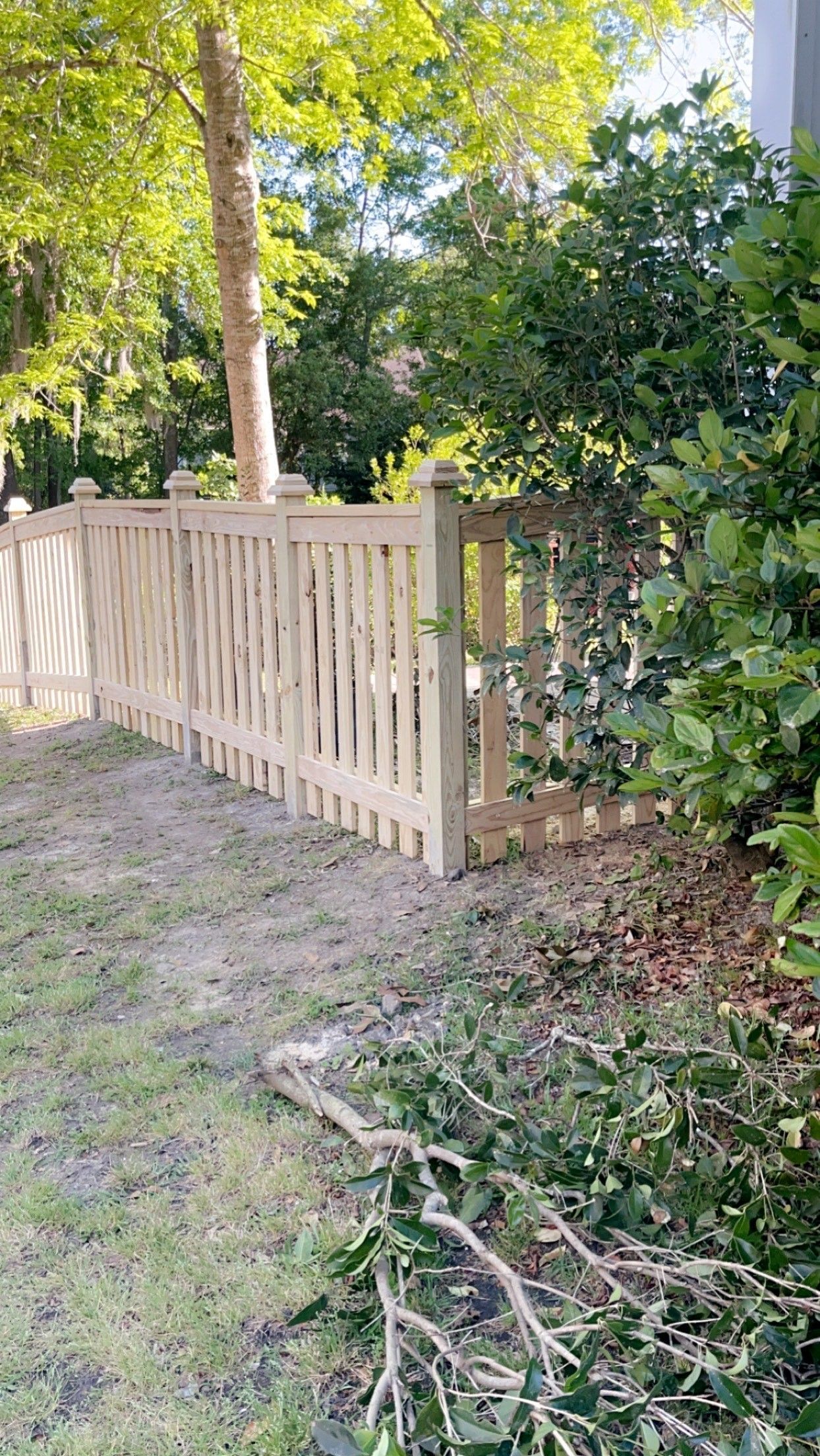 A wooden fence is surrounded by trees and bushes in a yard.