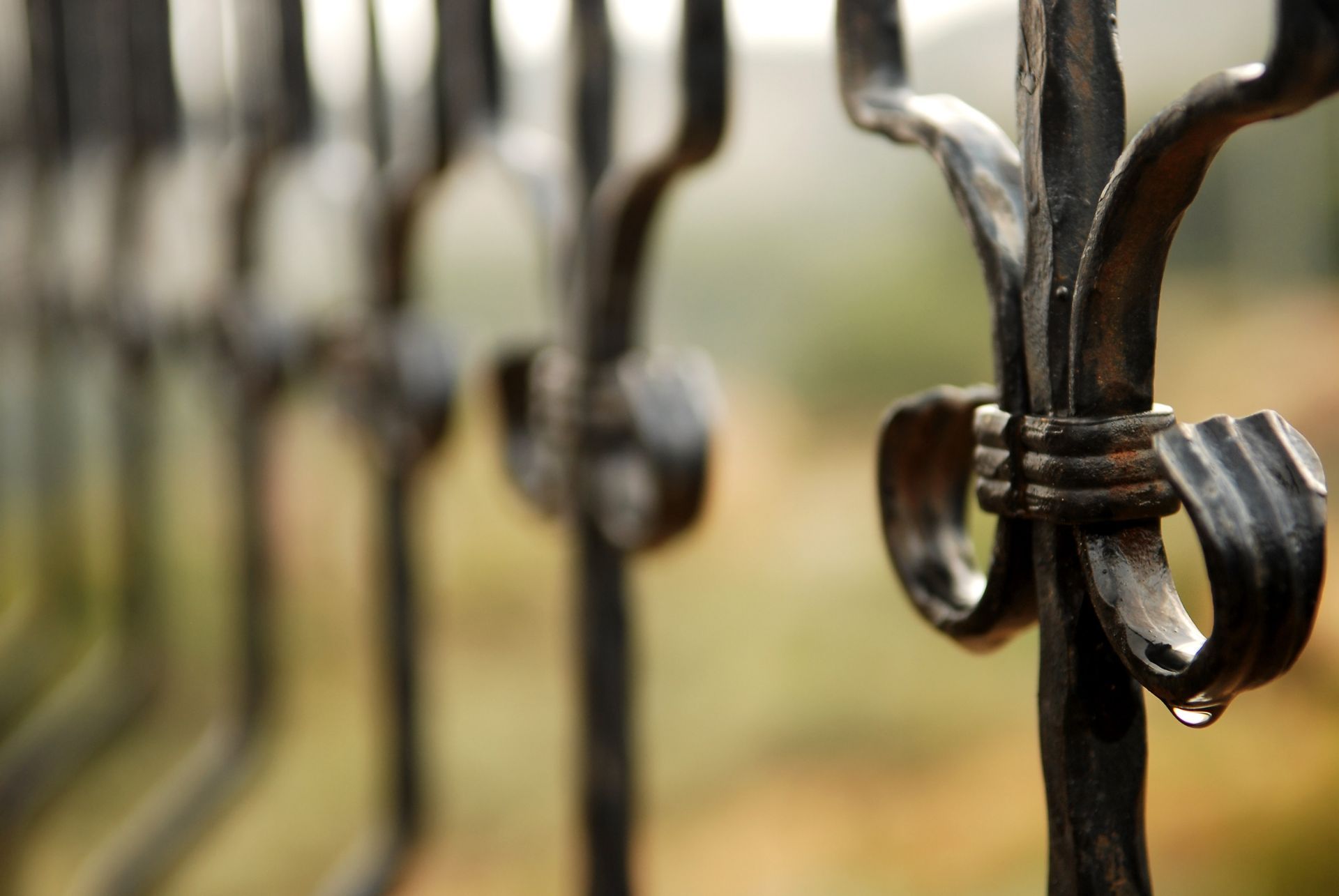 A close up of a wrought iron fence with a blurred background