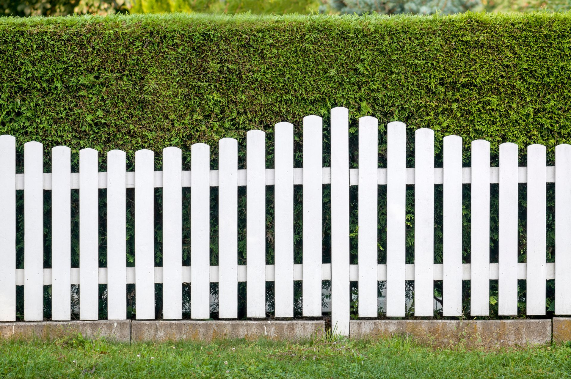 White picket fence in yard, representing quality services of a residential fence contractor.