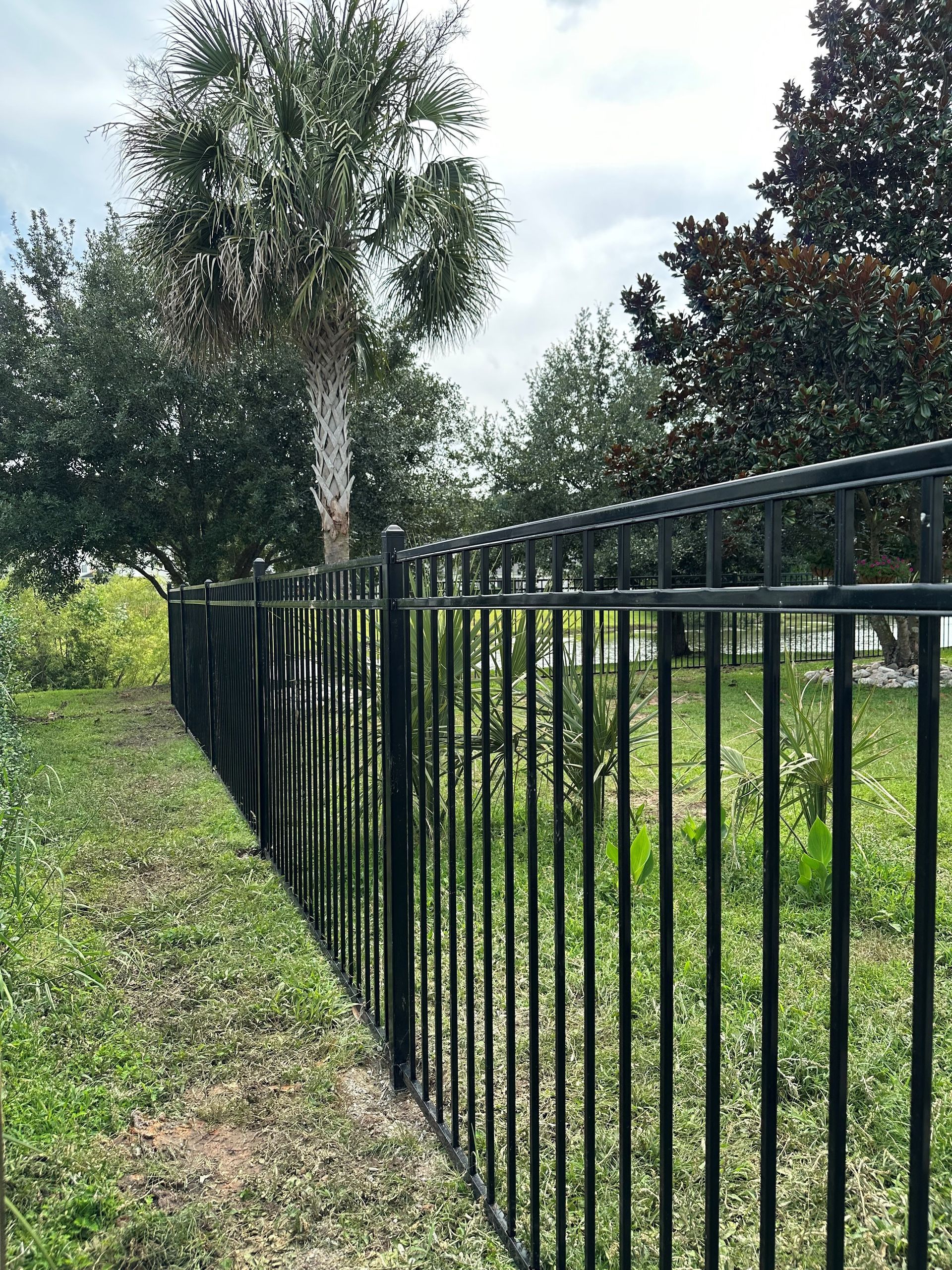A black metal fence surrounds a grassy field with trees in the background.