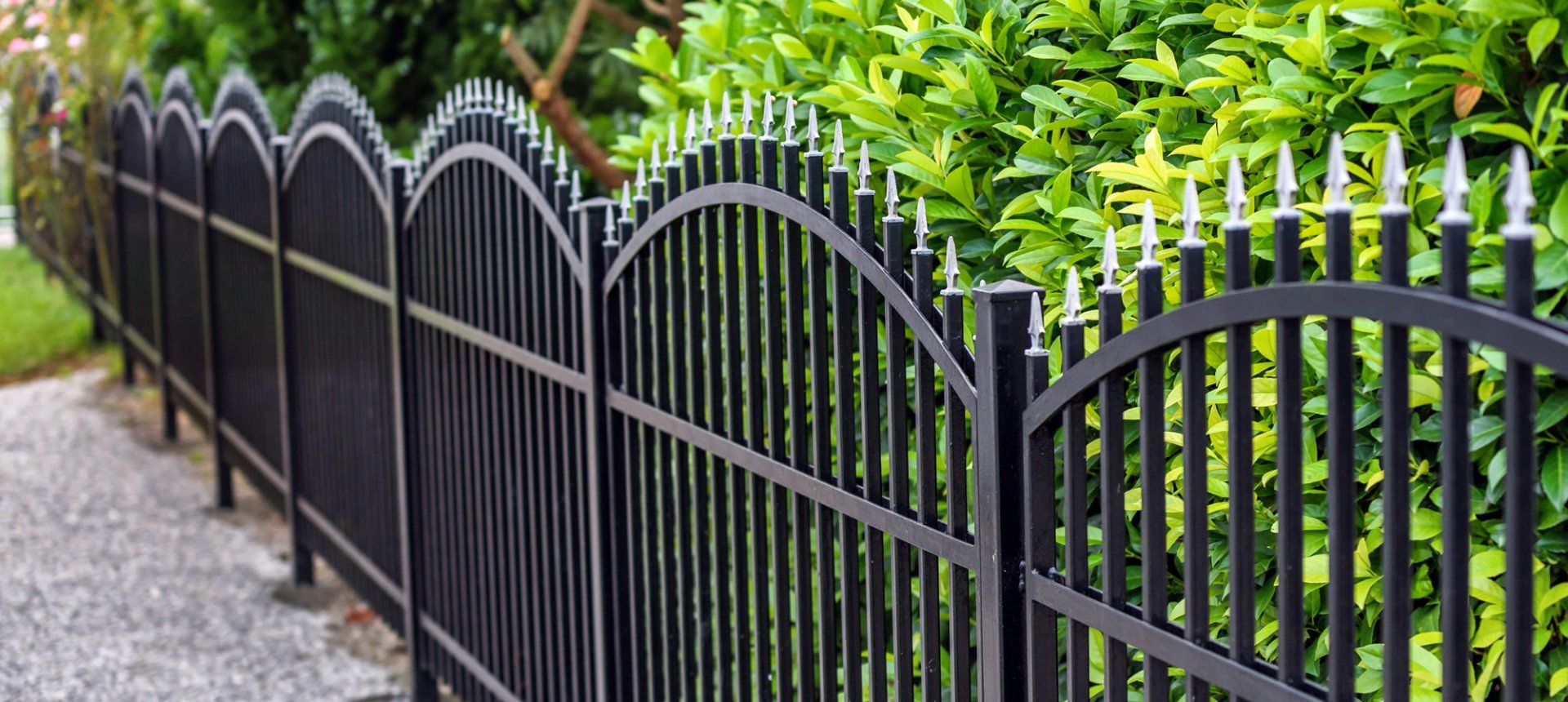 A black wrought iron fence surrounds a lush green hedge.