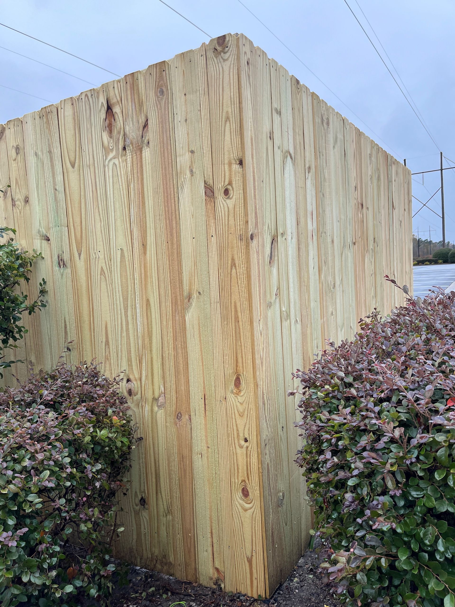 A wooden fence is surrounded by bushes and power lines.