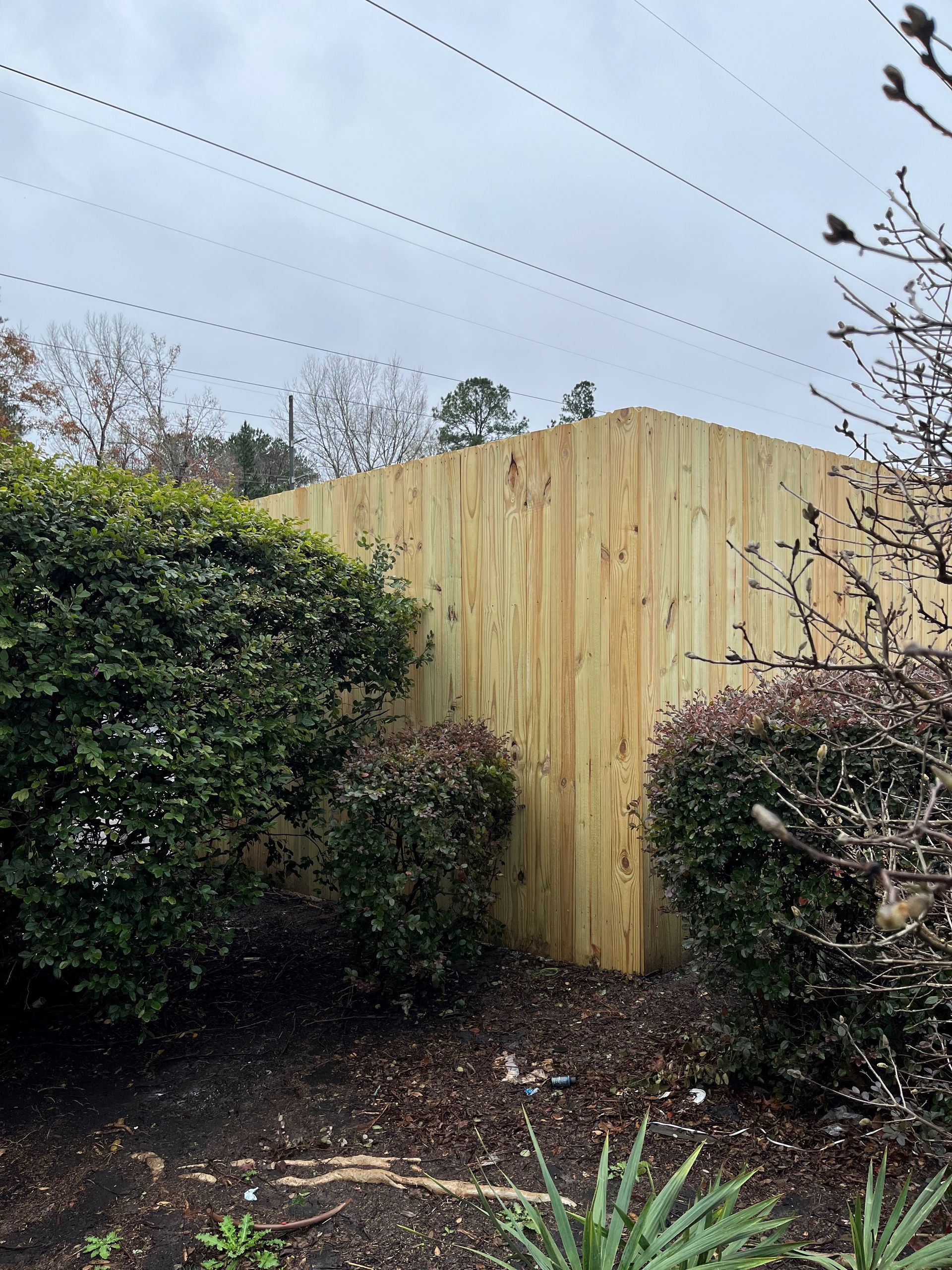 A wooden fence is surrounded by bushes and trees in a backyard.