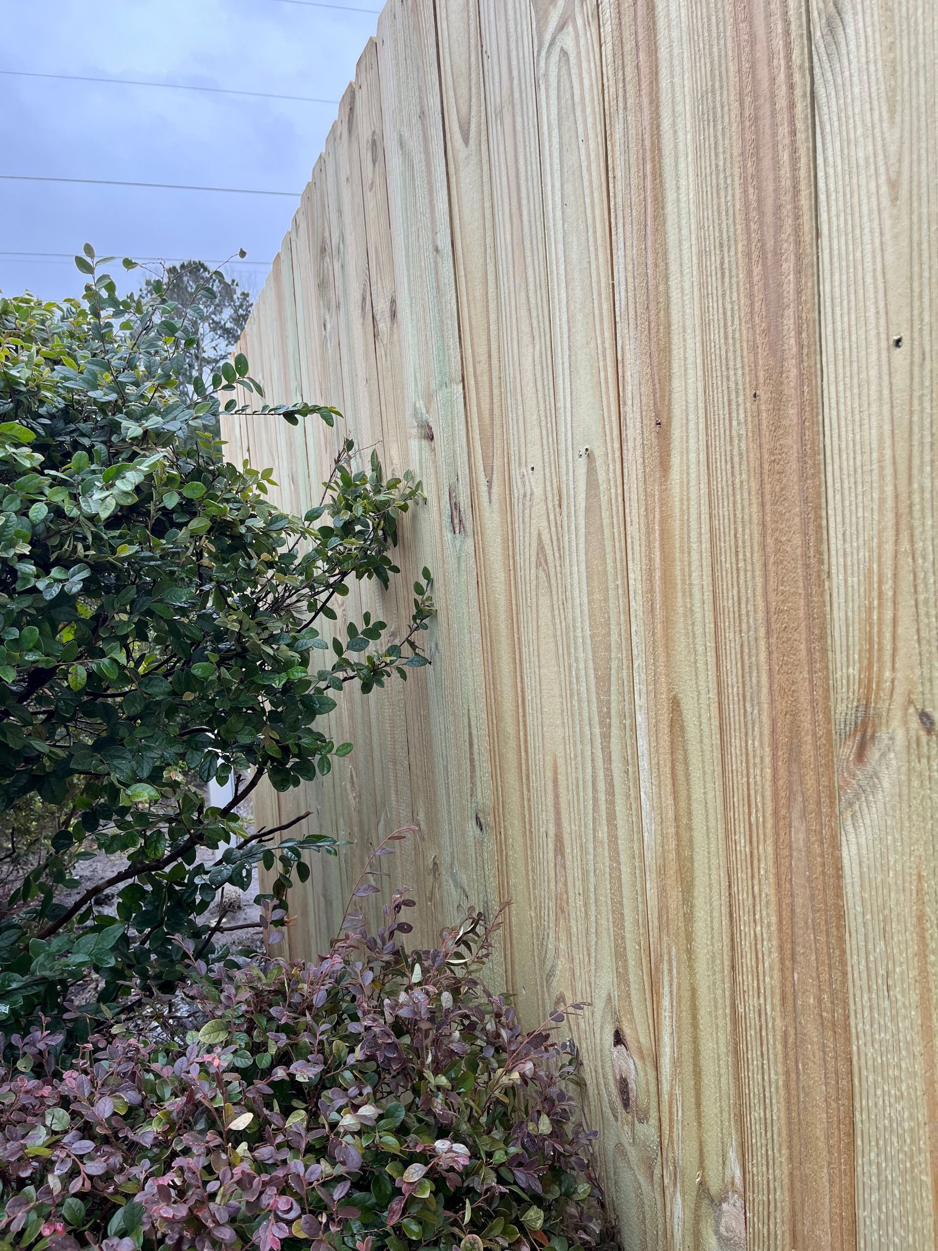 A close up of a wooden fence with a tree in the background.