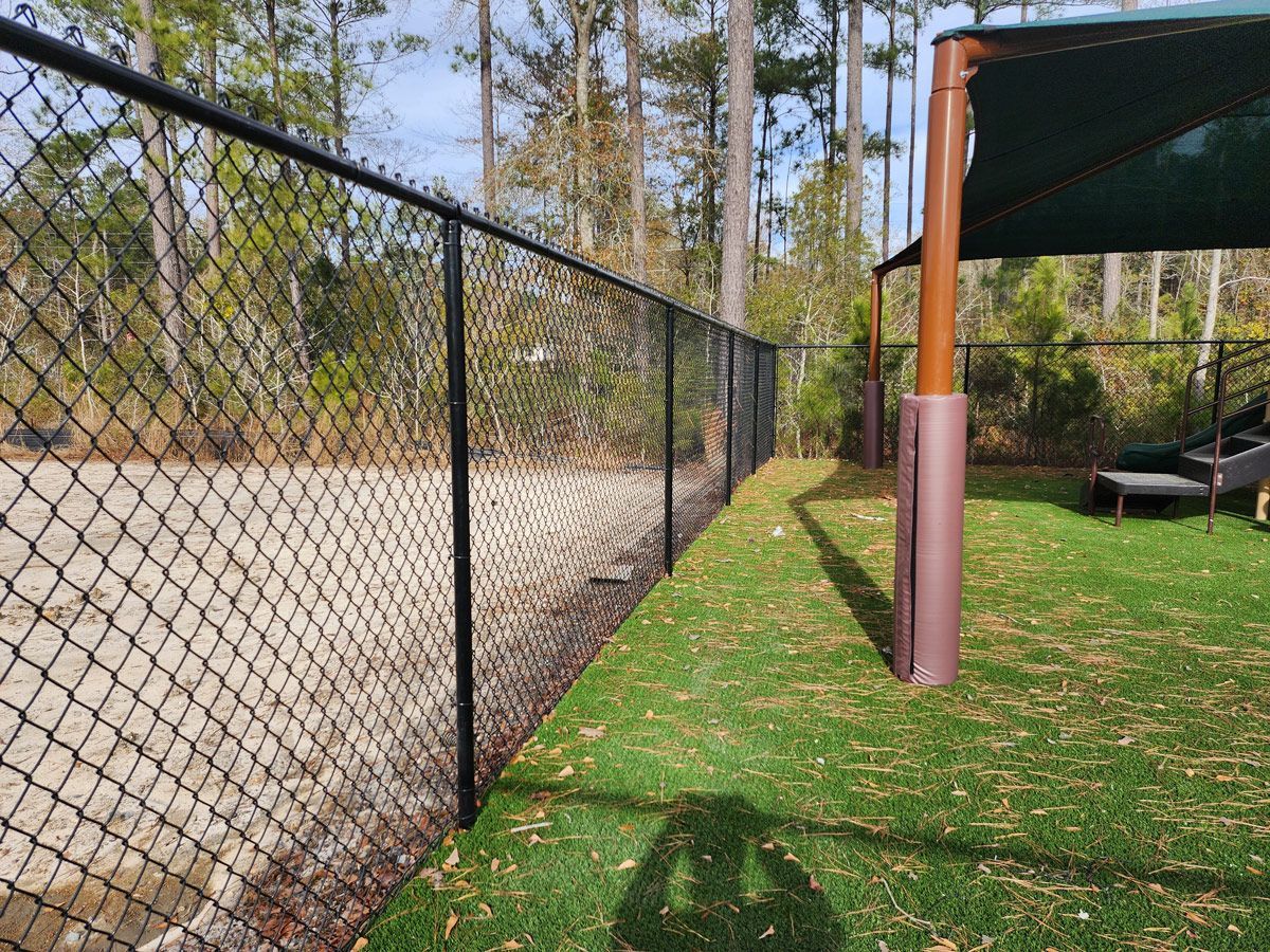 A chain link fence surrounds a lush green yard.