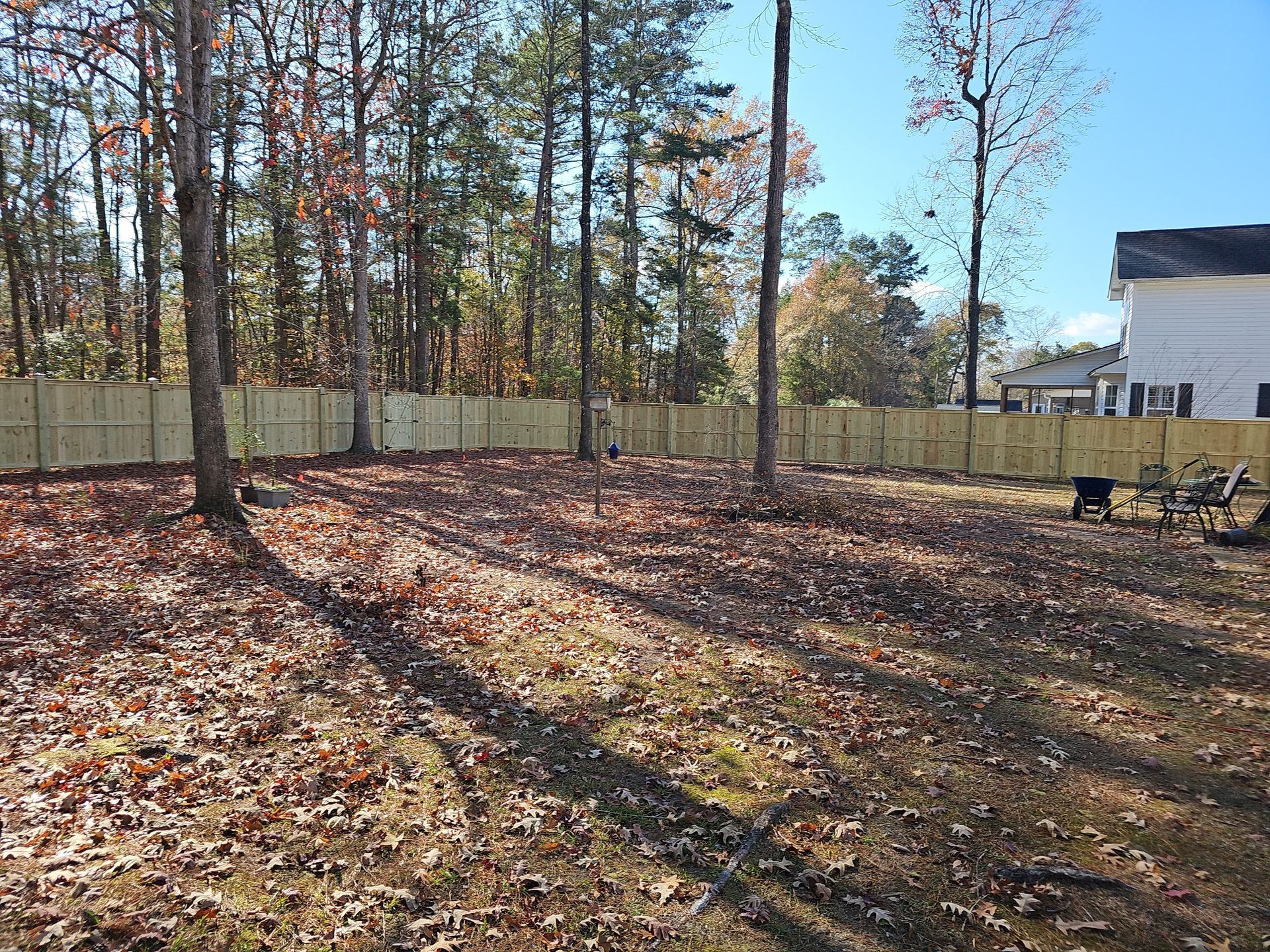 A yard with a wooden fence and trees in the background.