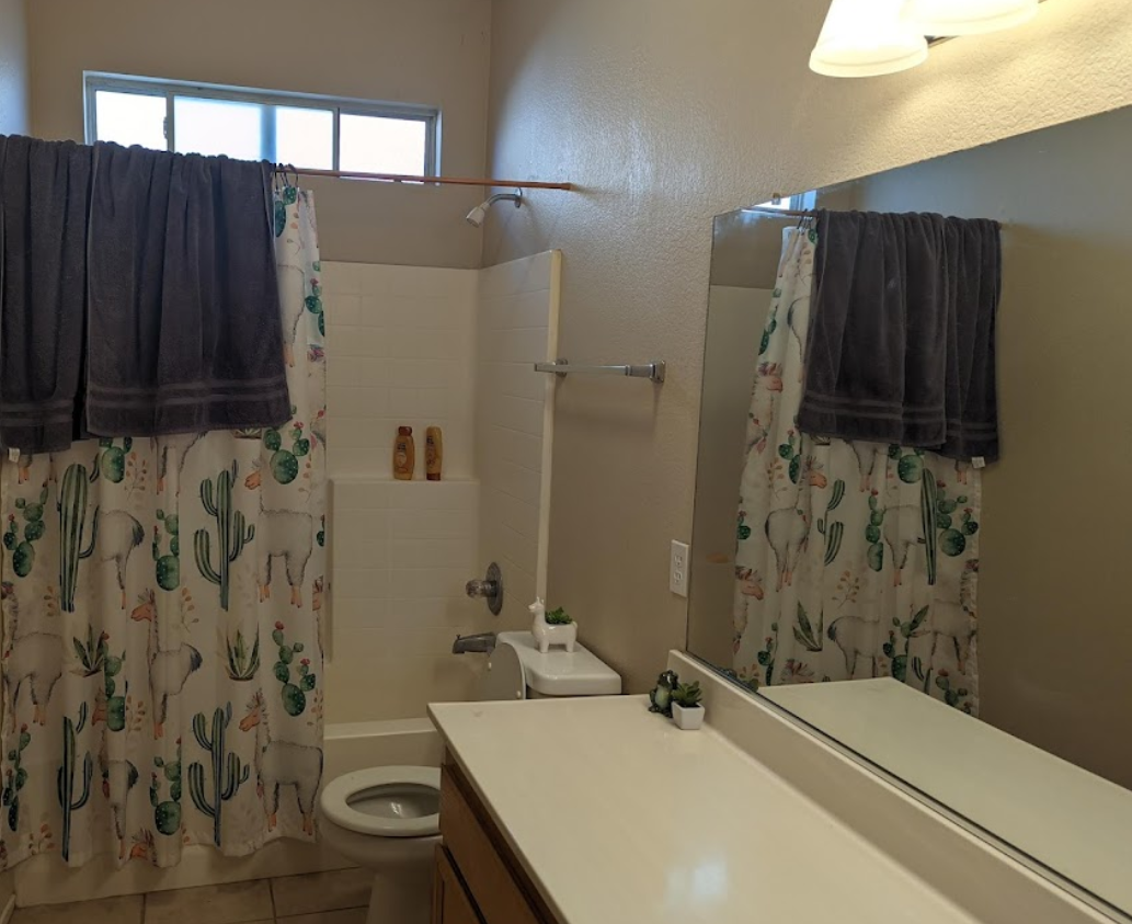 Bathroom with white sink and toilet. Shower with cactus curtain and towels.