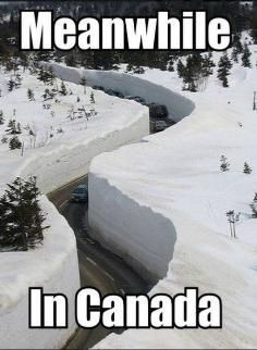 humorous photo of cars in canada driving through snow that's 30 feet deep