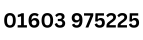 01603 975225