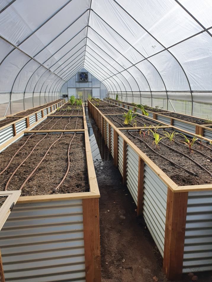 A Greenhouse Filled With Lots of Planters and Plants — Offcut Carpentry In Murwillumbah, NSW