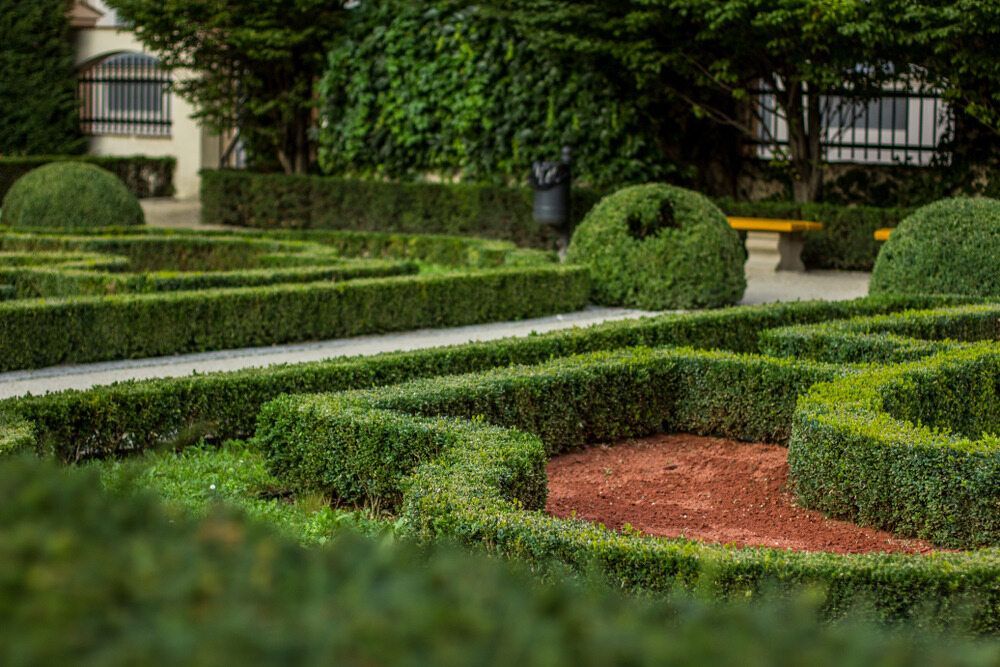 A Maze of Hedges in a Garden With a Bench in the Background — Offcut Carpentry In Byron Bay, NSW
