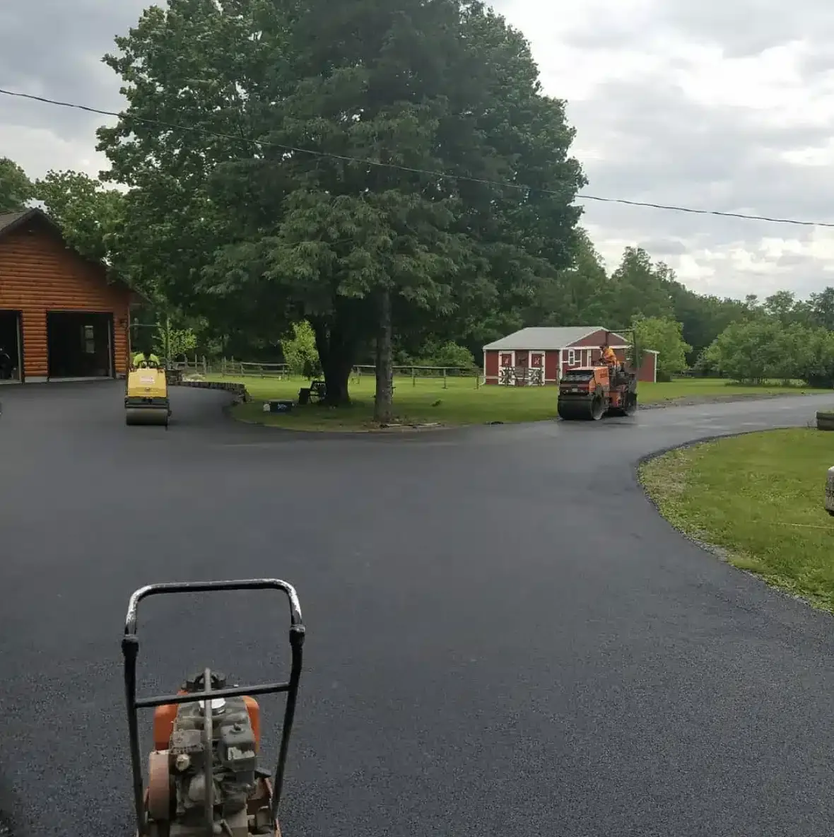 Big Tree — Allentown, PA — Diehl Paving Inc.