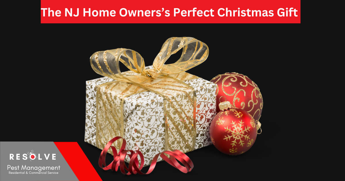 Let your gift - impress with pest control year round